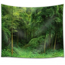 Wall26 Looking Into a Bamboo Forest Fabric - CVS - 51x60 inches   113200586398